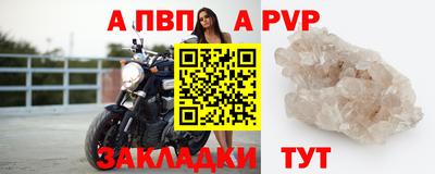 мет Кингисепп