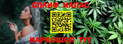 мет Кингисепп