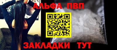 мет Кингисепп