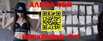 мет Кингисепп